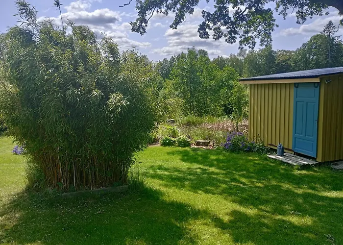 Damwildfarm In Rollerbue Suedschweden