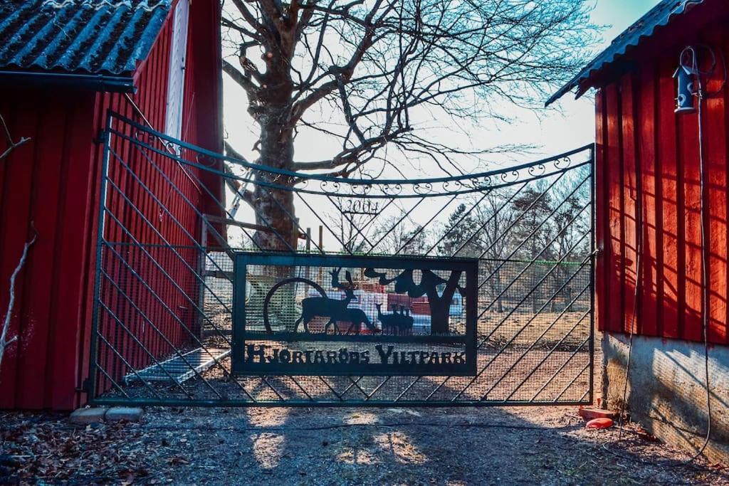 Damwildfarm In Rollerbue Suedschweden