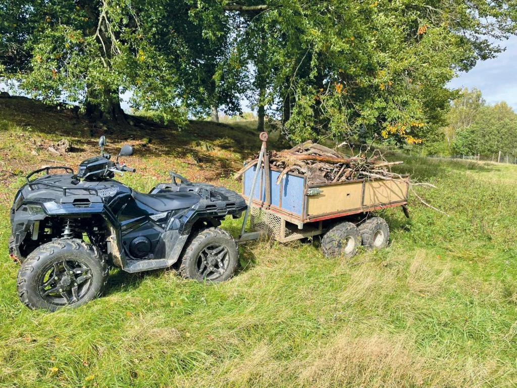 Damwildfarm In Rollerbue Suedschweden *