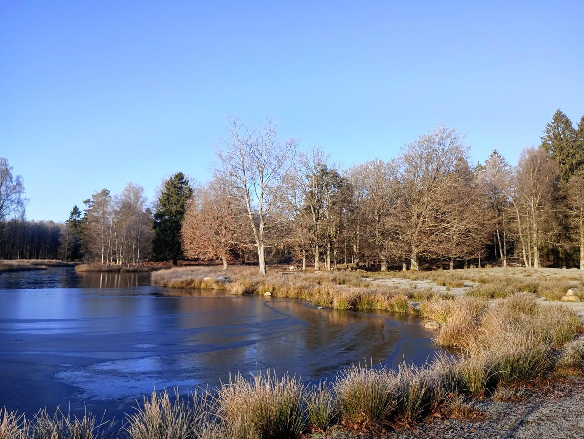 Vakantiehuis Damwildfarm In Rollerbue Suedschweden Tyringe